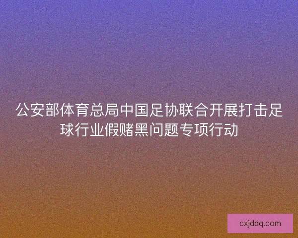 公安部体育总局中国足协联合开展打击足球行业假赌黑问题专项行动
